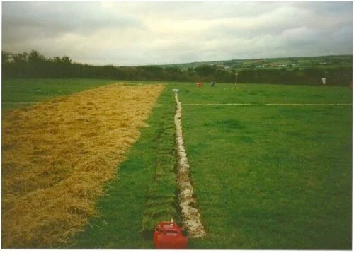 The Host, the Ghost and the Witness: at the limits of hybridity