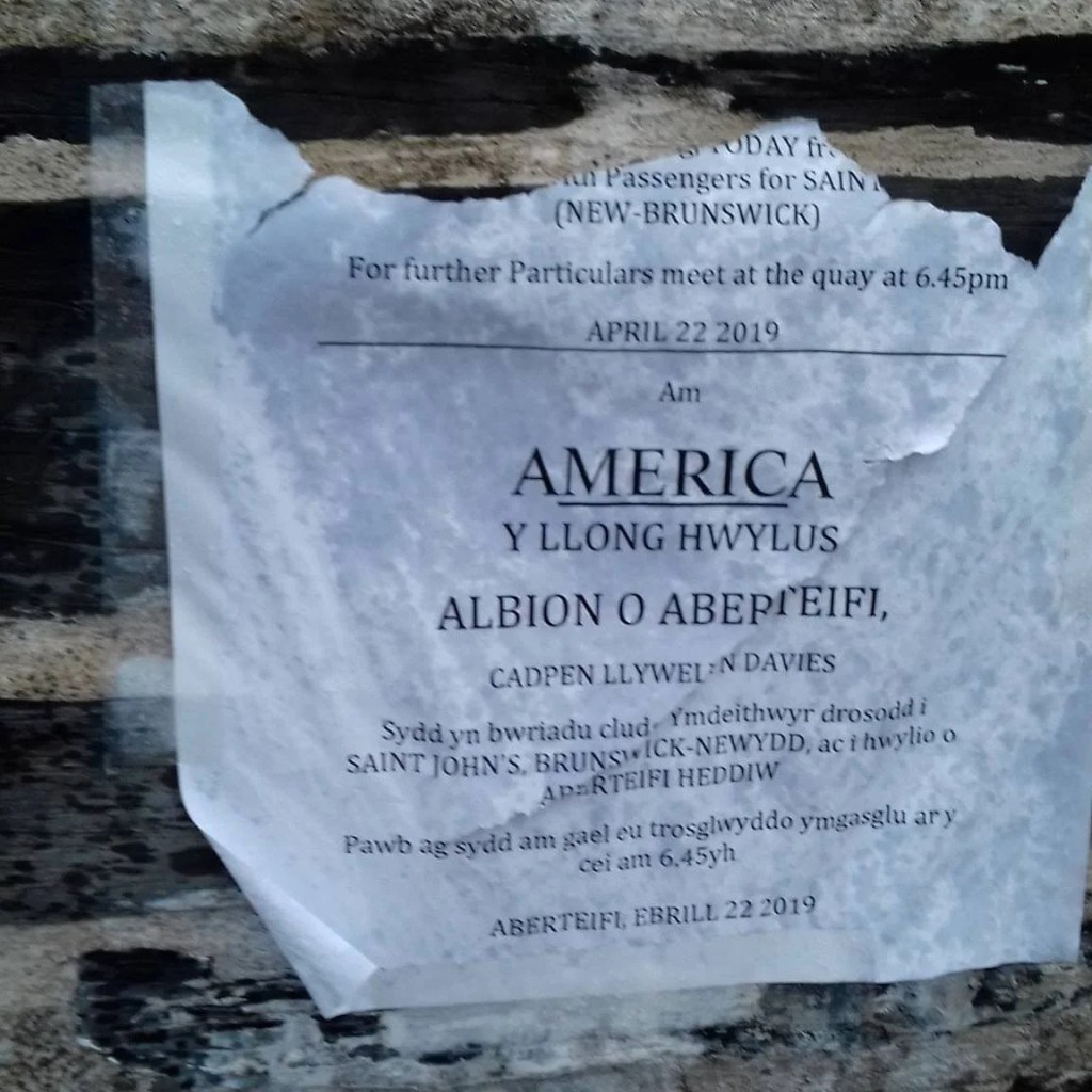 Albion and the outlying Islands –  Odi’r teid yn mynd&nbsp;mas?