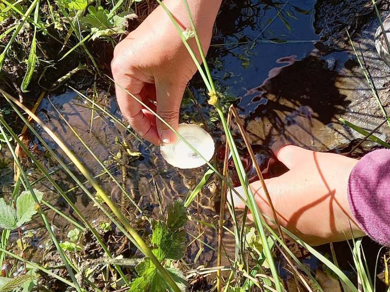 Gan Dynnu o’r Ffynnon / Drawing From The Well / Ag Tarraingt ón&nbsp;Tobar