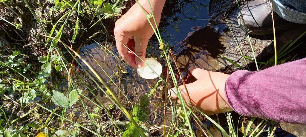Gan Dynnu o’r Ffynnon / Drawing From The Well / Ag Tarraingt ón&nbsp;Tobar